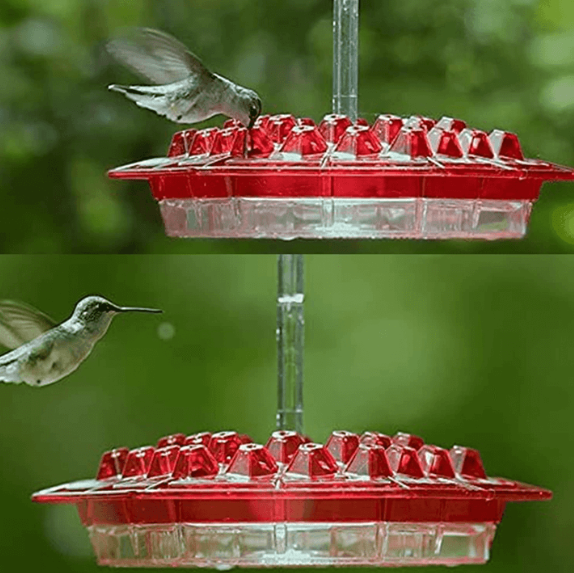 Comedero para colibríes a prueba de hormigas con perchero colgante para exteriores