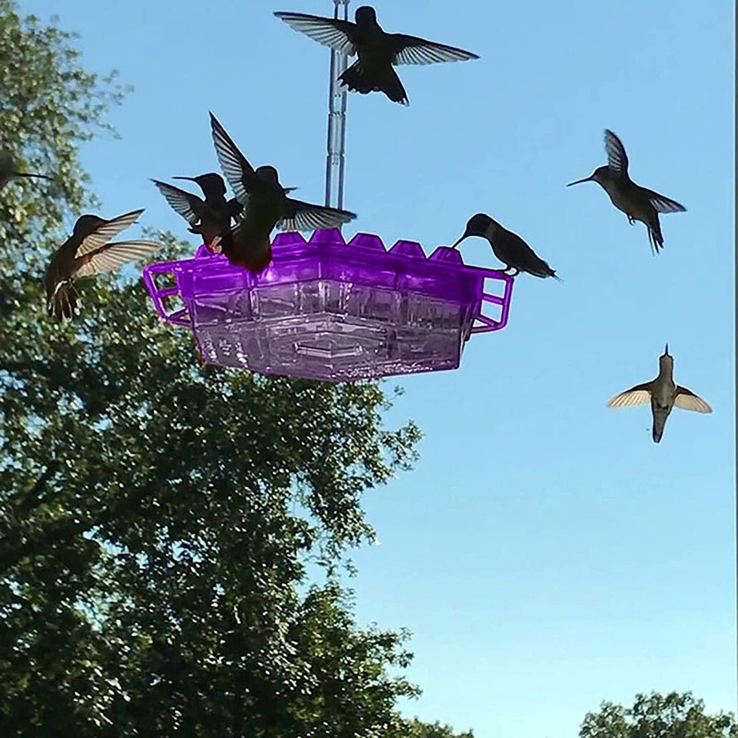 Comedero para colibríes a prueba de hormigas con perchero colgante para exteriores
