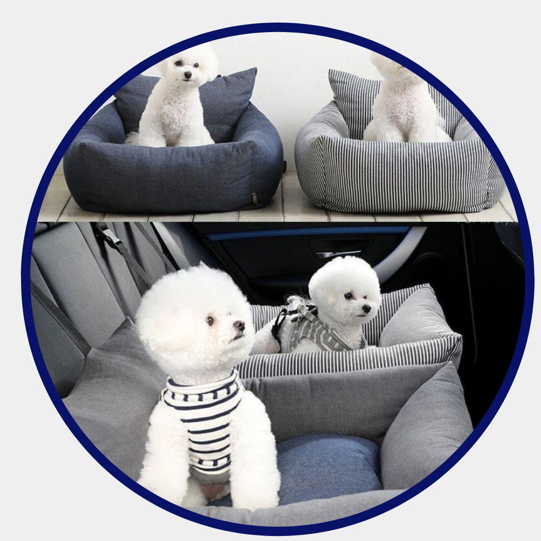 Bil kjæledyr sofa