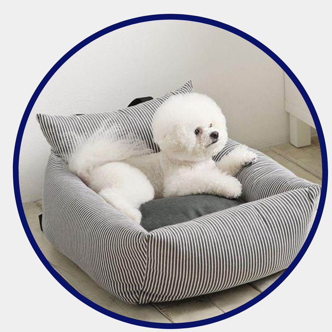 Bil kjæledyr sofa