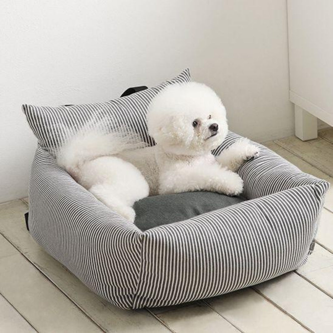 Bil kjæledyr sofa