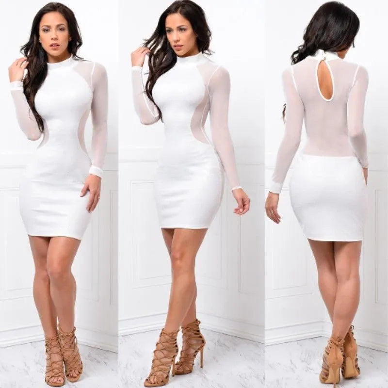 Evening Party Cocktail Dress Transparent Long Sleeve Clubwear Dress