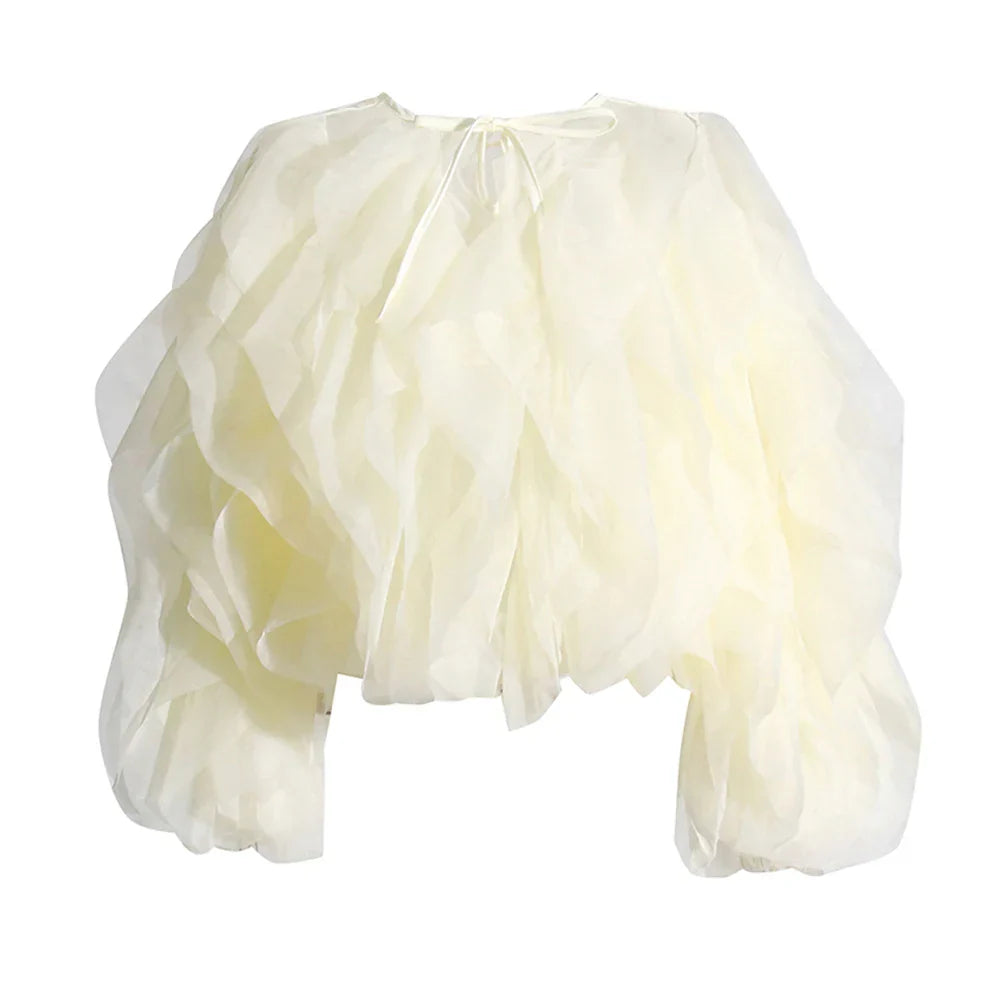 Dames O-hals Lantaarn Lange Mouw Effen Elegante Blouse