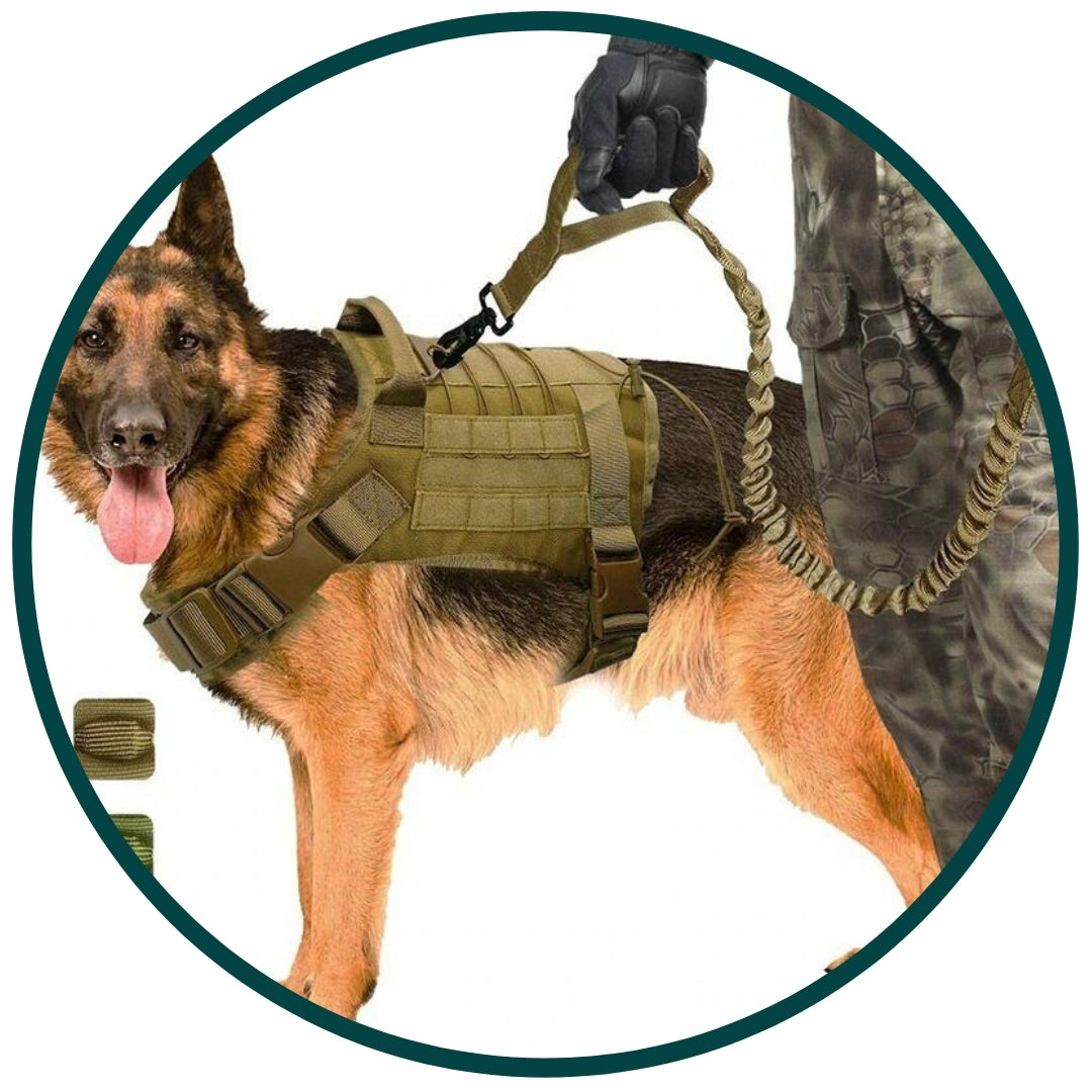 Taktisches Geschirr v2