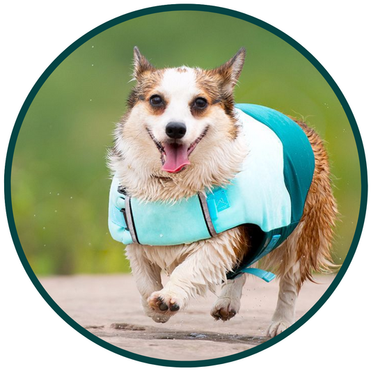Ropa de baño para mascotas Bouboo para todas las estaciones