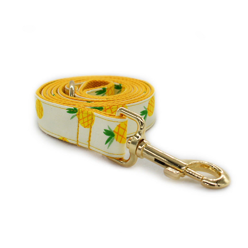 Ananas Halsbånd og Line