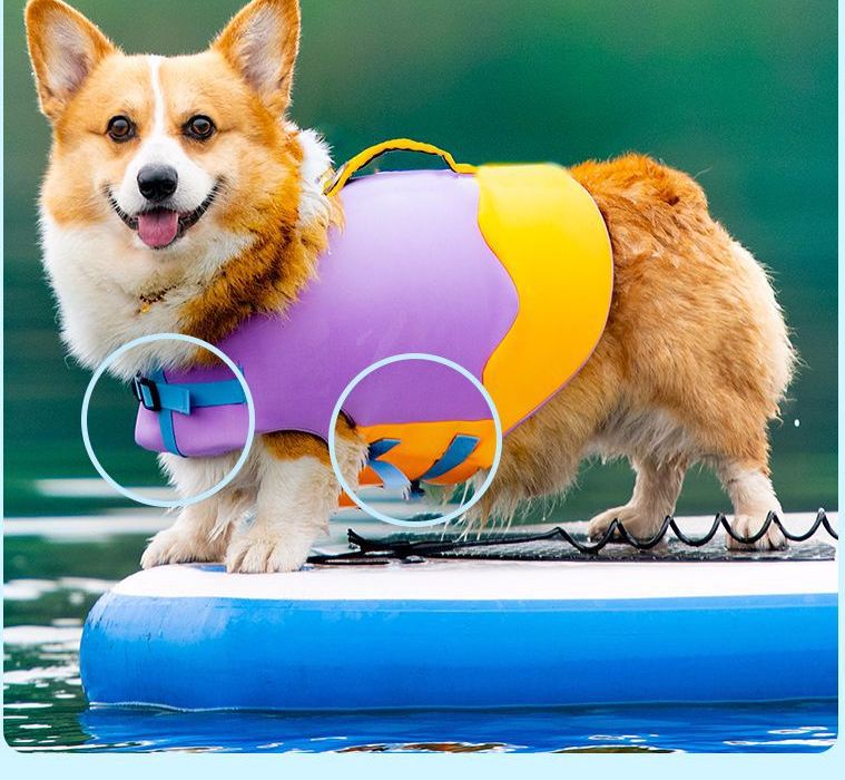 Ropa de baño para mascotas Bouboo para todas las estaciones