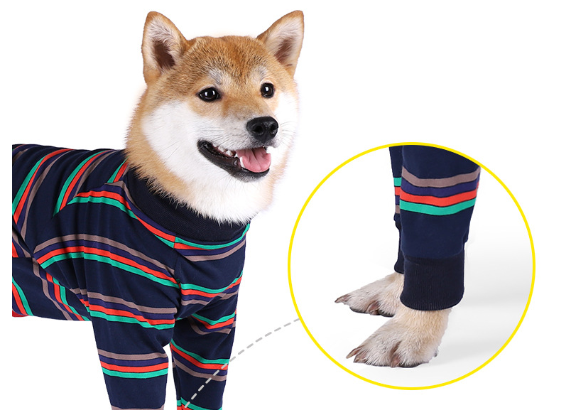 Hundapysjur