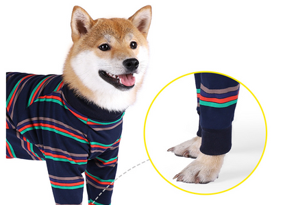 Hundapysjur