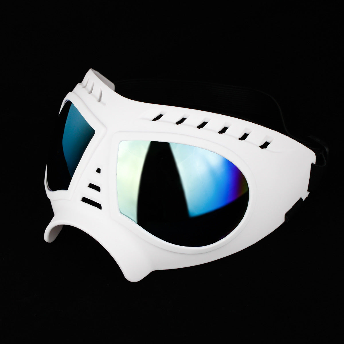 DogSki Goggles