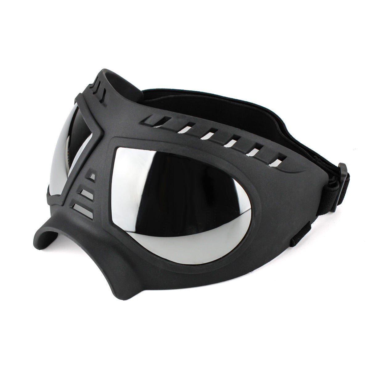 DogSki Goggles