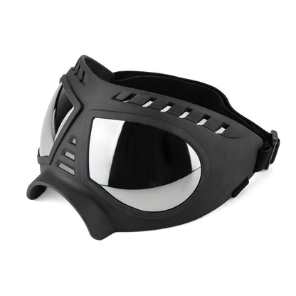 DogSki Goggles