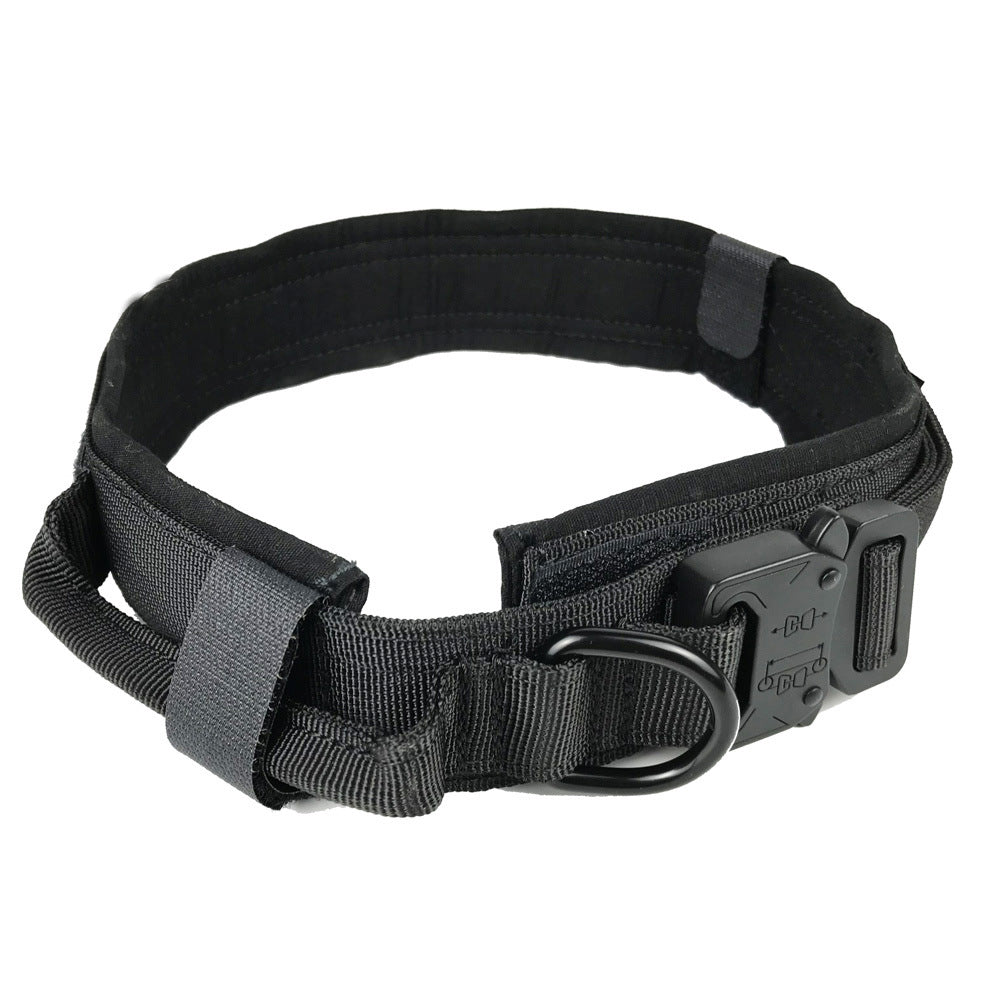 Hernaðarhalsband og taumur