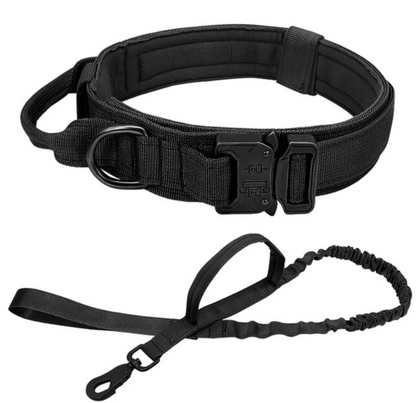 Hernaðarhalsband og taumur