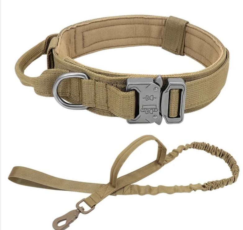 Hernaðarhalsband og taumur