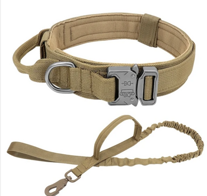 Hernaðarhalsband og taumur