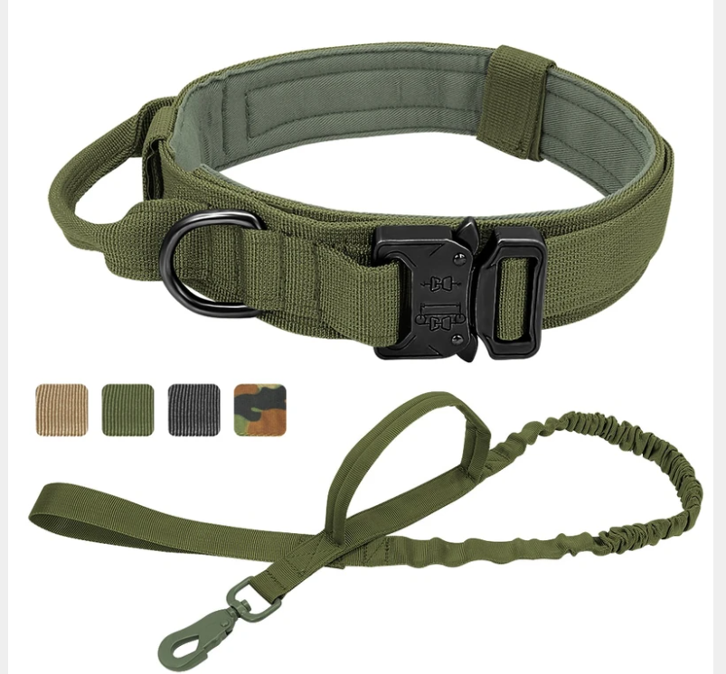 Hernaðarhalsband og taumur