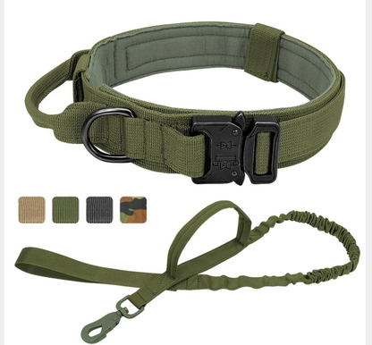 Hernaðarhalsband og taumur