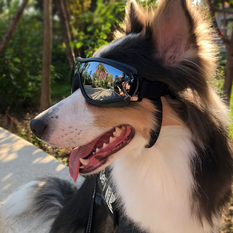 Hundebriller