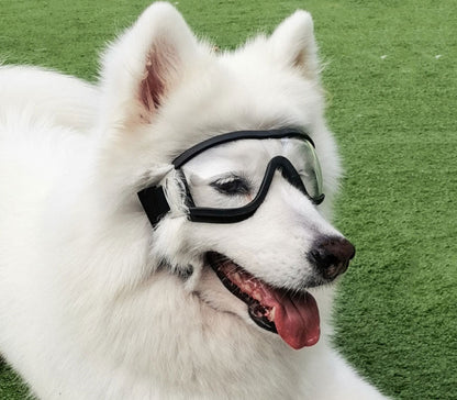 Hundebriller