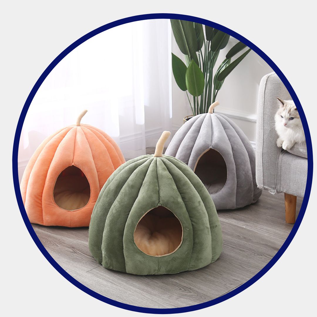 Casa Calabaza