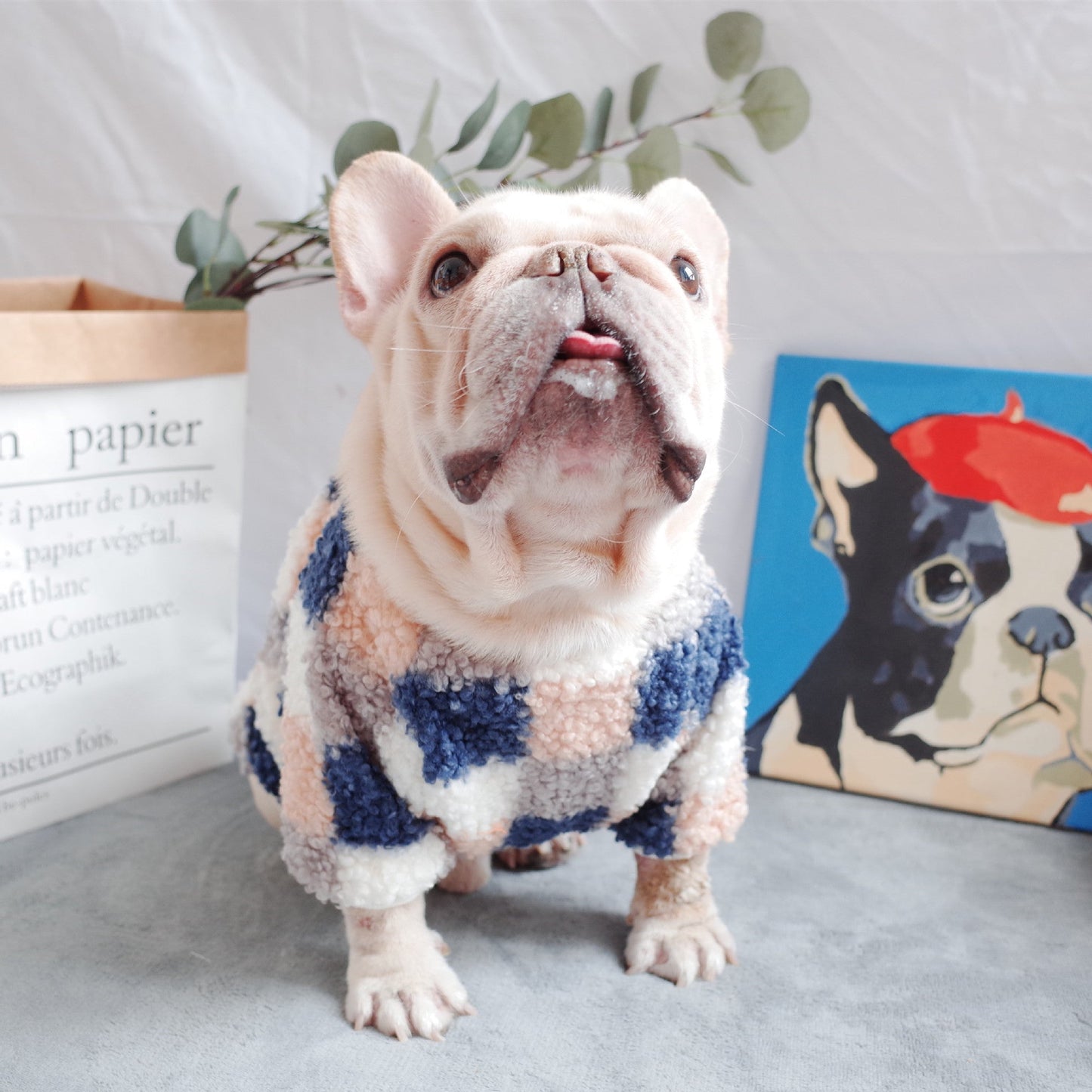 Comfy Pet Clothing