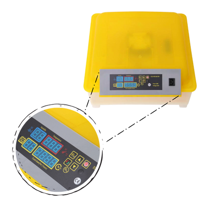 48 Eggs Automatic Digital Egg Incubator