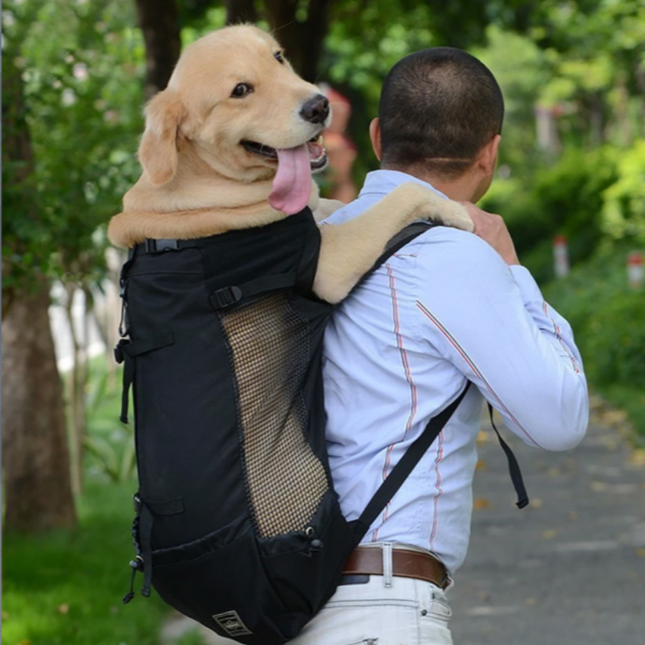 Sac à dos porte-chien