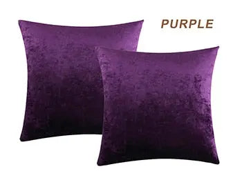 2 Pack Glowing Velvet Cushion Covers