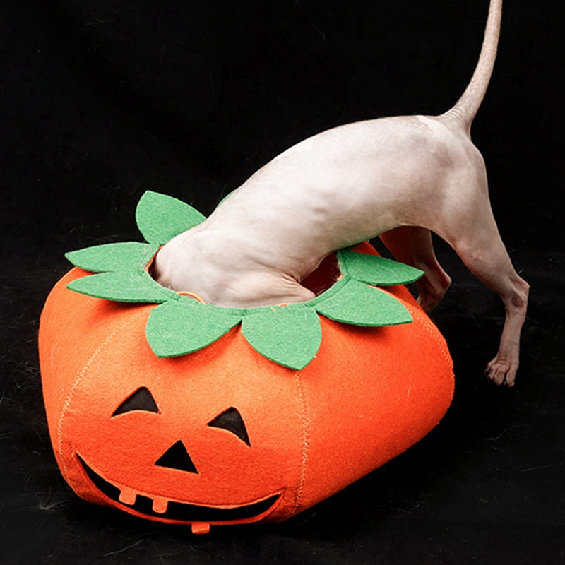 Maskeraddräkt: Pumpa