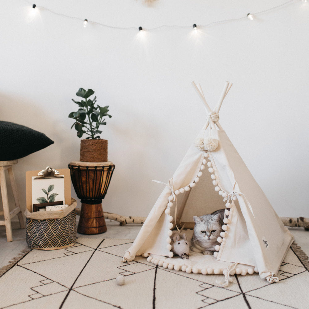 Bohemsk kjæledyr TeePee