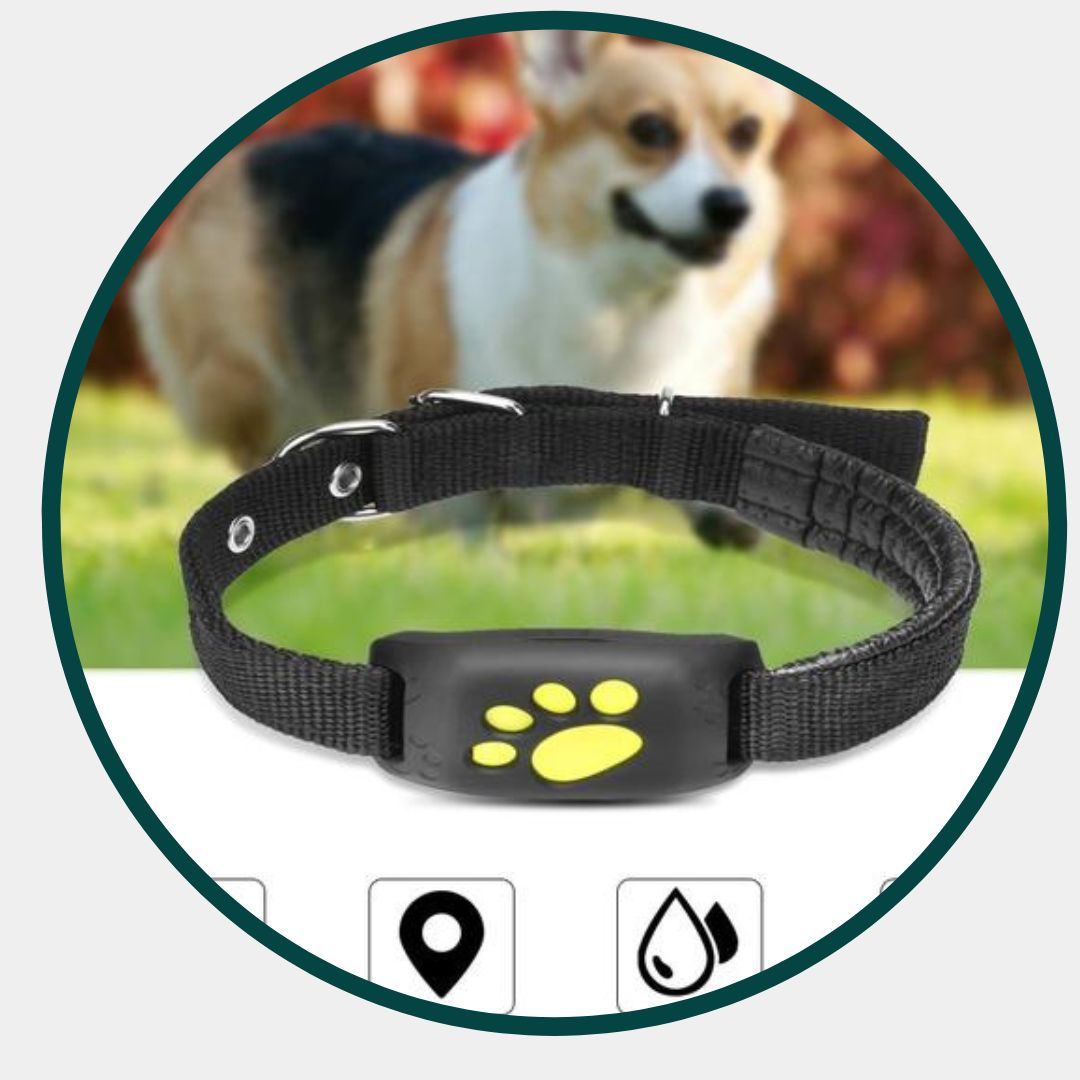 GPS-Haustier-Tracker