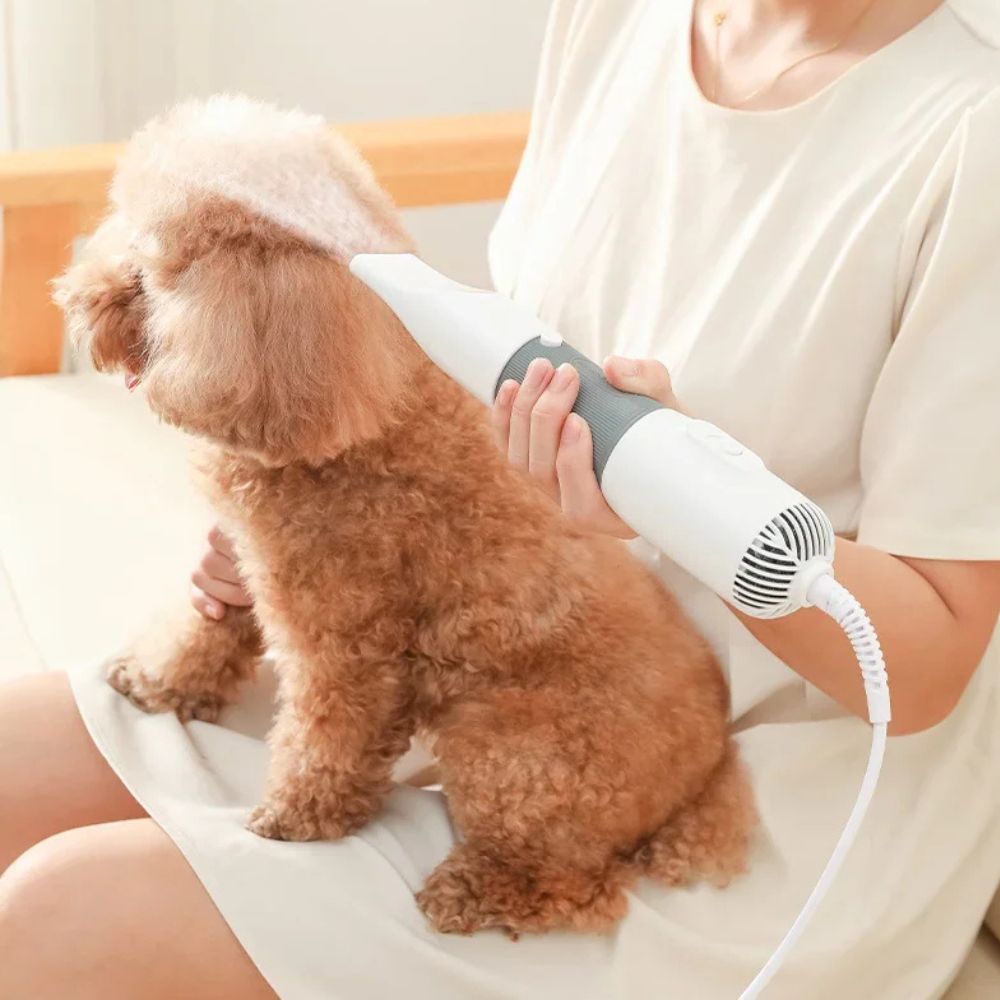 Powerful Handheld Pet Dog Hair Grooming Blow Dryer