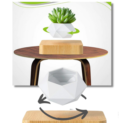 LEVITATING AIR POT PLANT