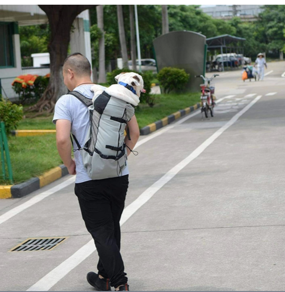 Sac à dos porte-chien
