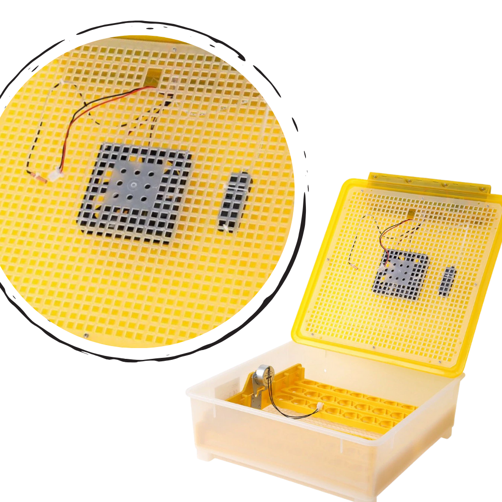 48 Eggs Automatic Digital Egg Incubator