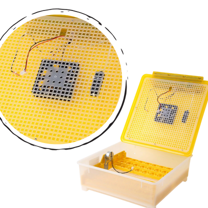 48 Eggs Automatic Digital Egg Incubator