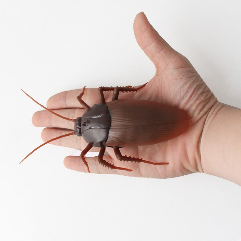 Remote Controlled Cockroach Bug Toy – Ventayo