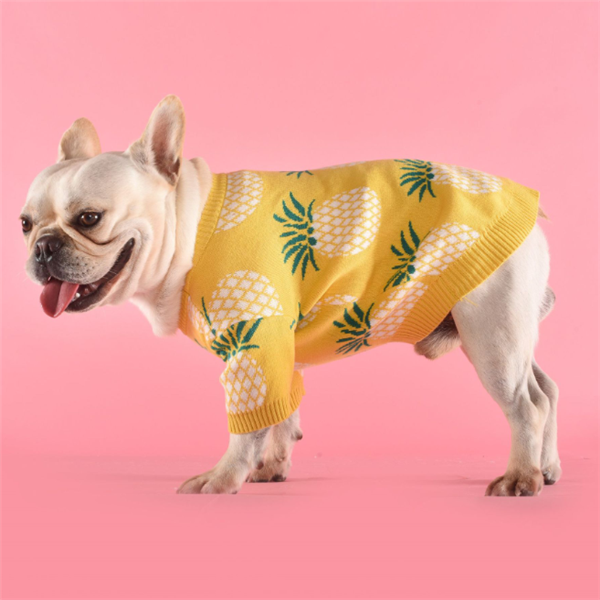 Yellow Pineapple Sweater