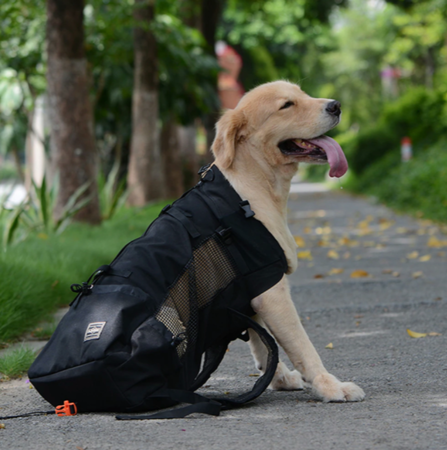 Sac à dos porte-chien