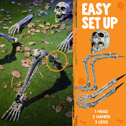 5 Pcs Life Size Skeleton Halloween Decorations Outdoor – Ventayo