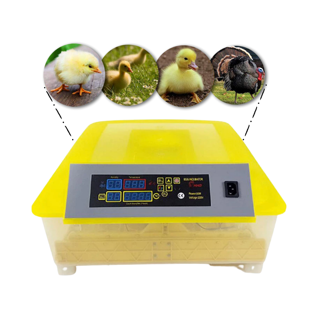 48 Eggs Automatic Digital Egg Incubator