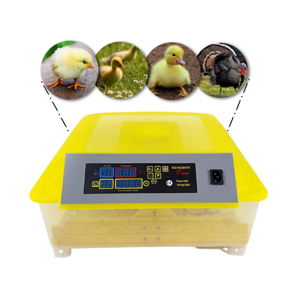 48 Eggs Automatic Digital Egg Incubator