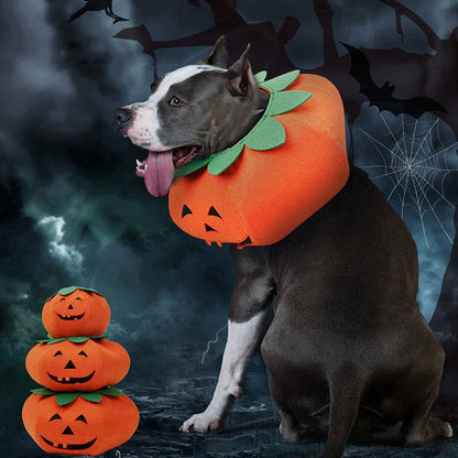 Maskeraddräkt: Pumpa