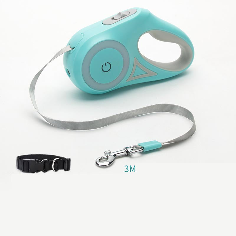 Light Leash and Collar