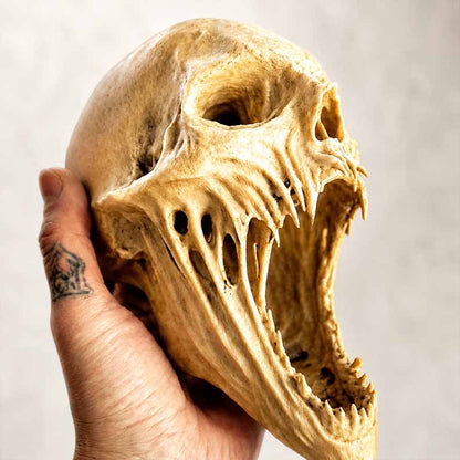 Skull Collector Sculpture – Ventayo
