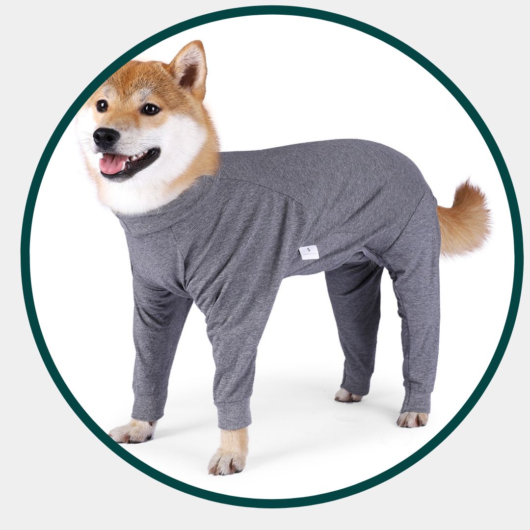 Hundapysjur