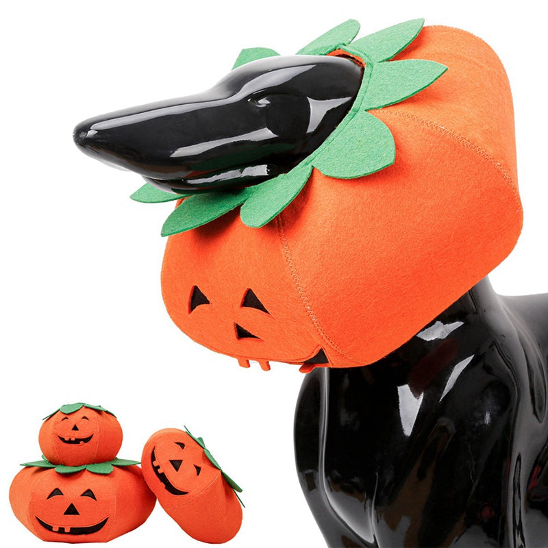 Maskeraddräkt: Pumpa