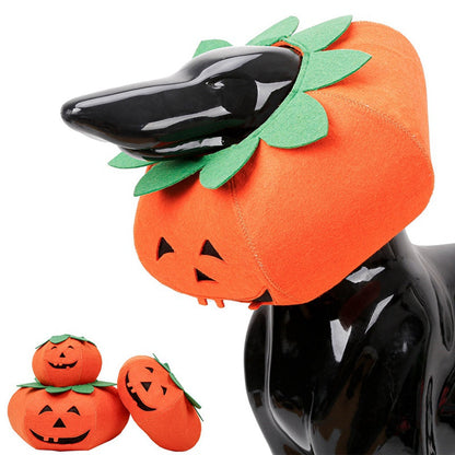Maskeraddräkt: Pumpa