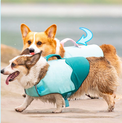 Bouboo All-Season Pet Swimwear